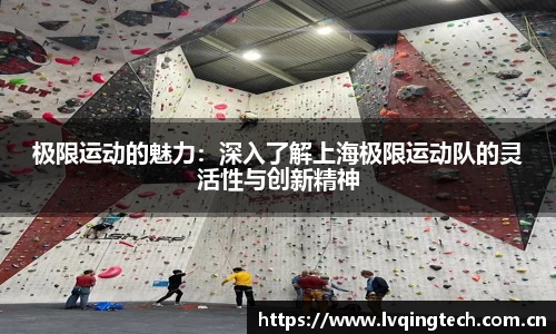 星空电子首页网站